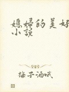 媳妇的美好时代小说