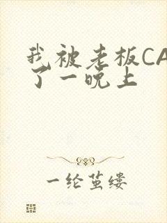 我被老板CAO了一晚上