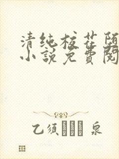 清纯校花堕落记小说免费阅读