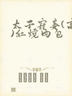 太子宠妾(高肉)红烧肉包