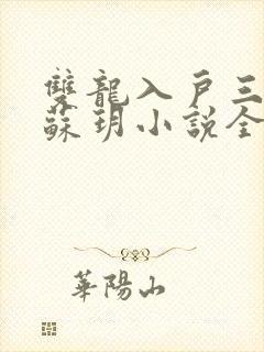 双龙入户三人行苏玥小说全文阅读