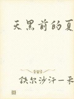 天黑前的夏天