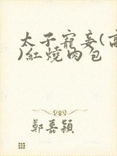 太子宠妾(高肉)红烧肉包