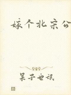 嫁个北宋公务员