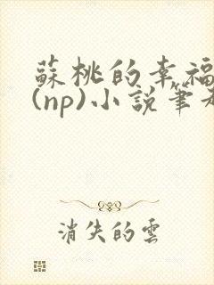 苏桃的幸福生活(np)小说笔趣阁沐沐封面