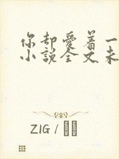 你却爱着一个他小说全文未删减免费