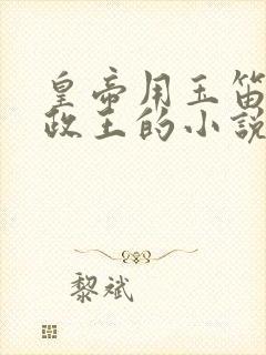 皇帝用玉笛整摄政王的小说封面