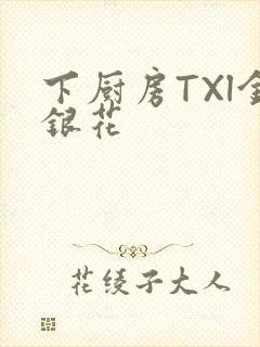 下厨房TXl金银花