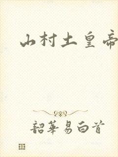 山村土皇帝封面