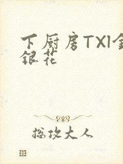 下厨房TXl金银花