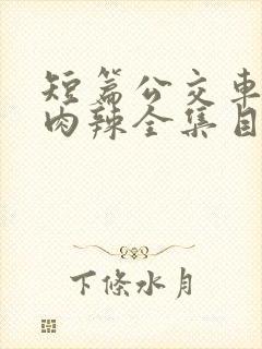 短篇公交车高h肉辣全集目录封面