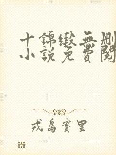 十锦缎无删原著小说免费阅读