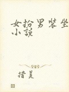 女扮男装坐江山小说封面