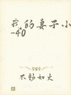 我的妻子小谨1-40