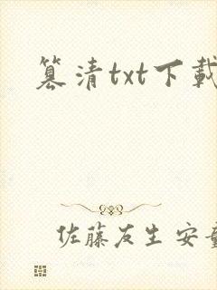 篡清txt下载