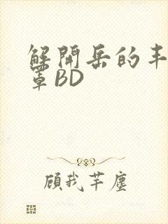 解开岳的丰满奶罩BD封面