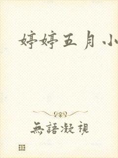 婷婷五月小说封面