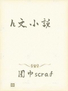 h文小说