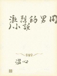 激烈的男同(h)小说