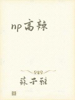 np高辣