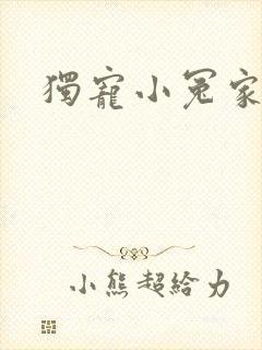 独宠小冤家封面