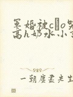 军婚被cαo哭高h奶水小说封面