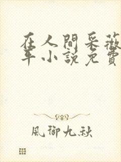 在人间采薇陆三平小说免费阅读封面