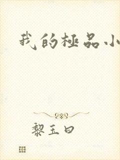 我的极品小姨封面