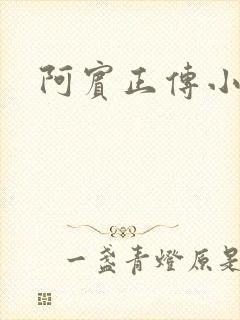 阿宾正传小说封面