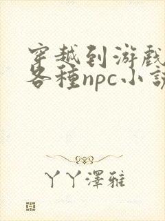 穿越到游戏里和各种npc小说