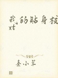 我的贴身校花txt封面