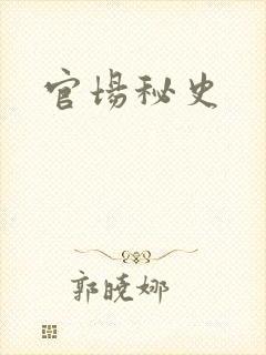 官场秘史