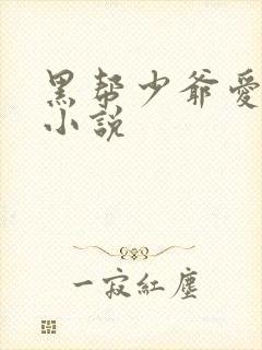 黑帮少爷爱上我小说