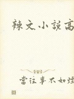 辣文小说高h