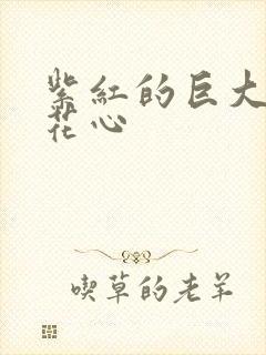 紫红的巨大顶开花心