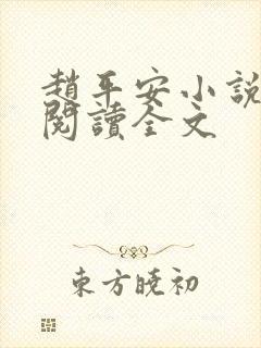 赵平安小说免费阅读全文