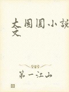 大团圆小说集全文封面