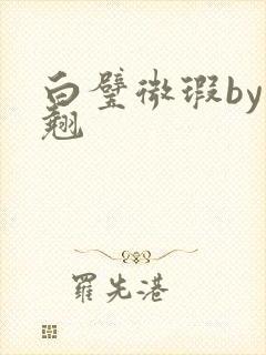 白璧微瑕by连翘