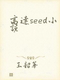 高达seed小说