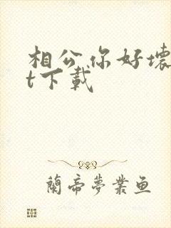 相公你好坏txt下载