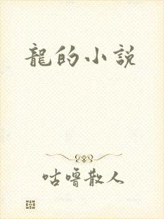 龙的小说