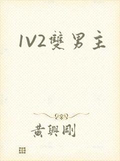 1V2双男主