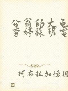 公翁的大龟挺进秀婷苏玥电影