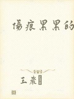 伤痕累累的勋章封面