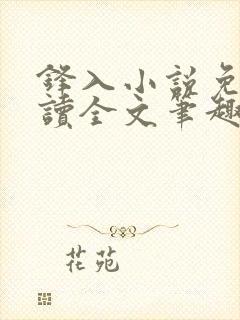 锋入小说免费阅读全文笔趣阁