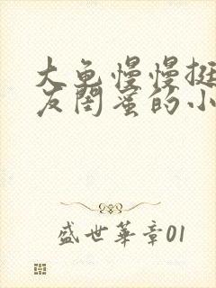 大龟慢慢挺进女友闺蜜的小说