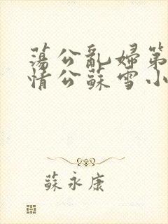 荡公乱妇第1章情公苏雪小说