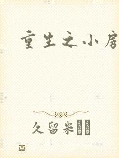 重生之小房东