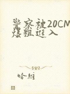 警察被20CM爆粗进入封面
