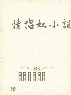 情侣奴小说封面